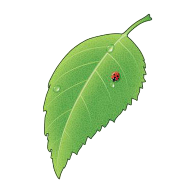 Логотип Бесконечного Лета